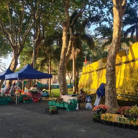 Дом отдыха Casa Da Avo Duca